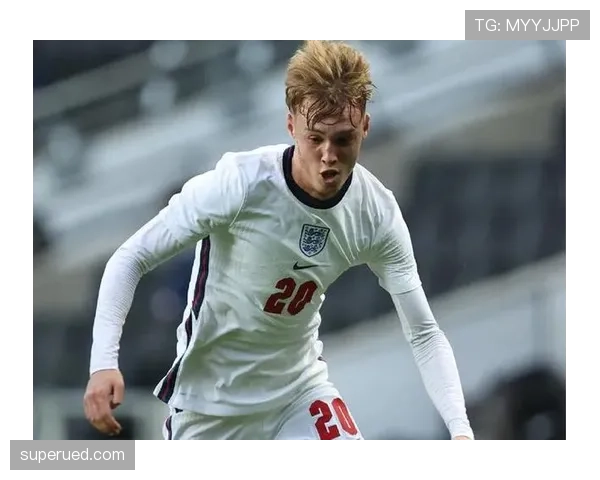 帕尔默与迪马利亚左脚技术特点及进攻创造机制差异分析