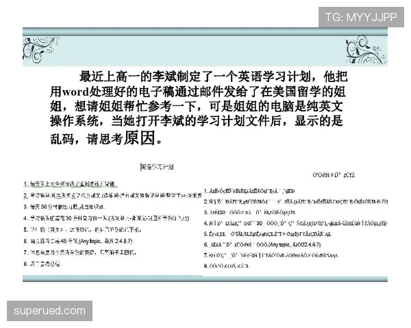 莱奥的技术与效率如何共同决定其上限